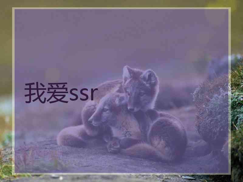 我爱ssr