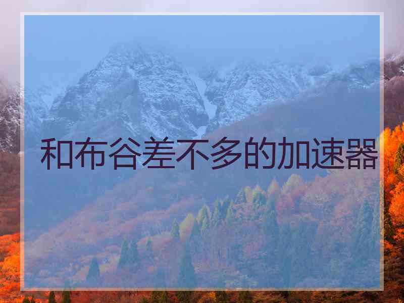 和布谷差不多的加速器