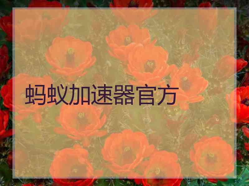 蚂蚁加速器官方