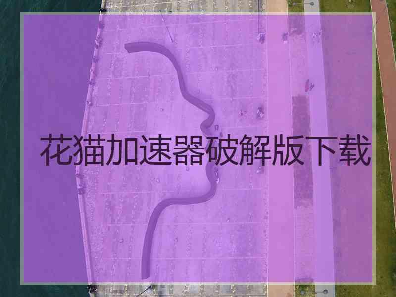 花猫加速器破解版下载