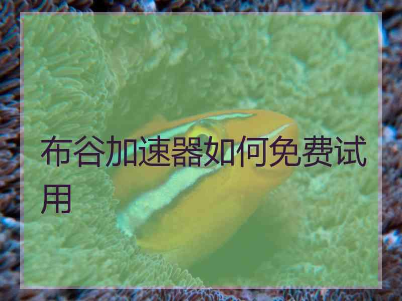 布谷加速器如何免费试用