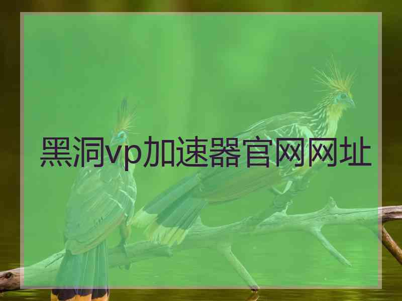 黑洞vp加速器官网网址