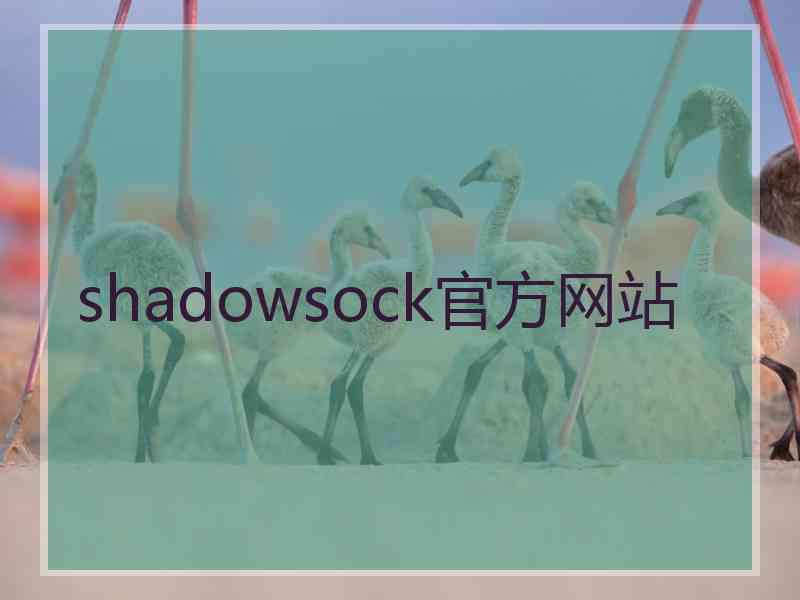 shadowsock官方网站