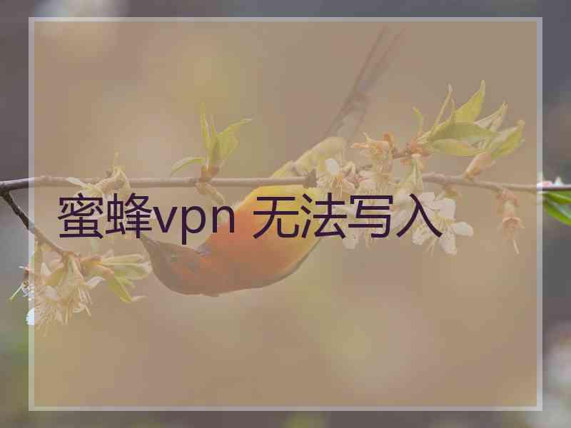 蜜蜂vpn 无法写入