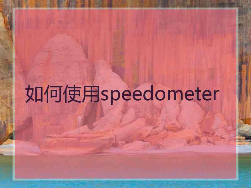 如何使用speedometer