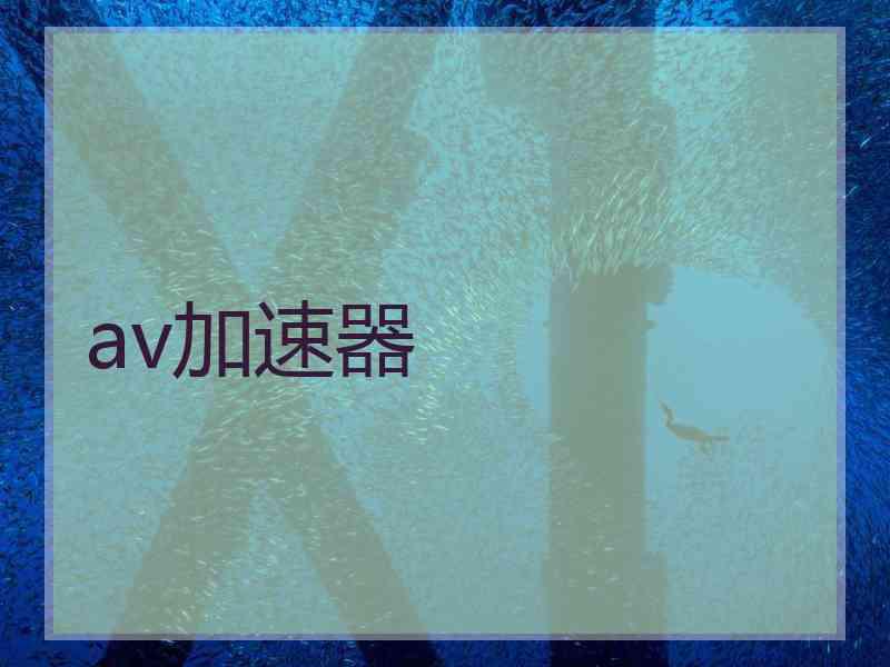 av加速器