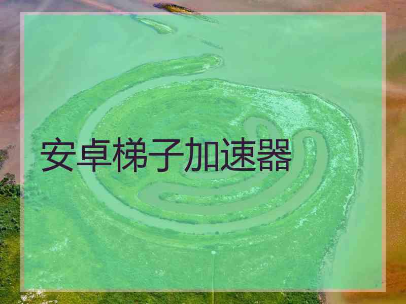 安卓梯子加速器
