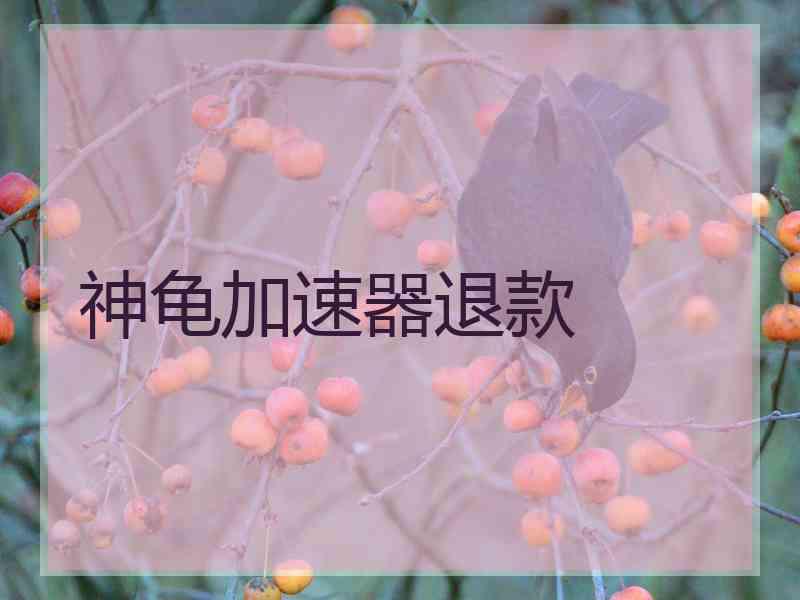 神龟加速器退款
