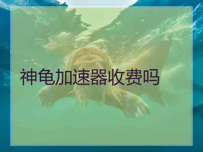 神龟加速器收费吗