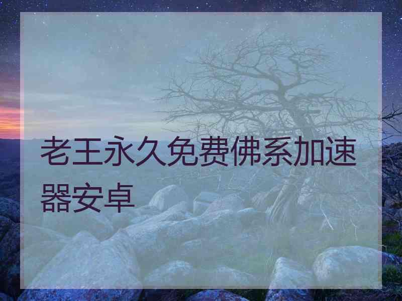 老王永久免费佛系加速器安卓