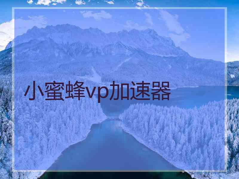 小蜜蜂vp加速器