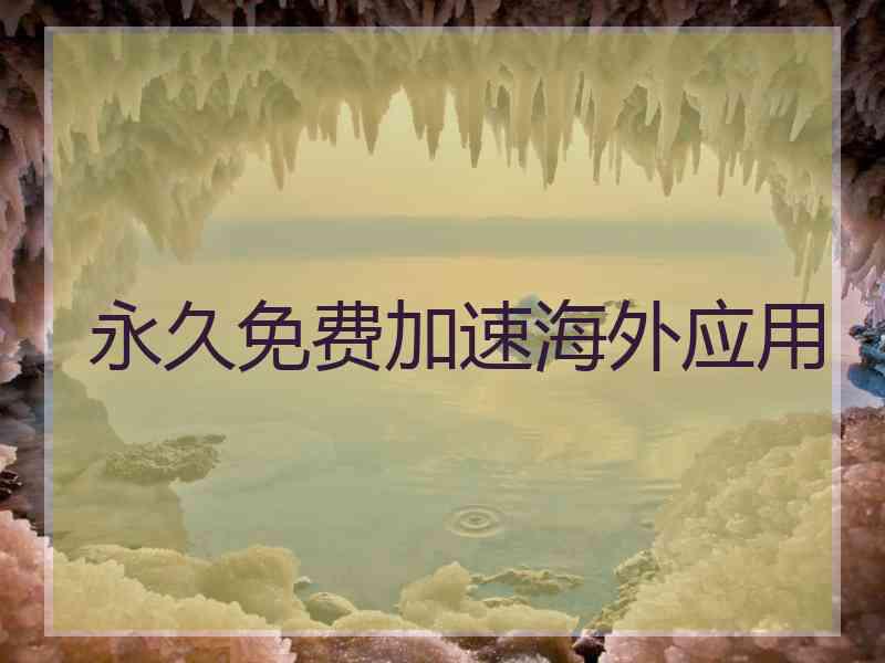 永久免费加速海外应用