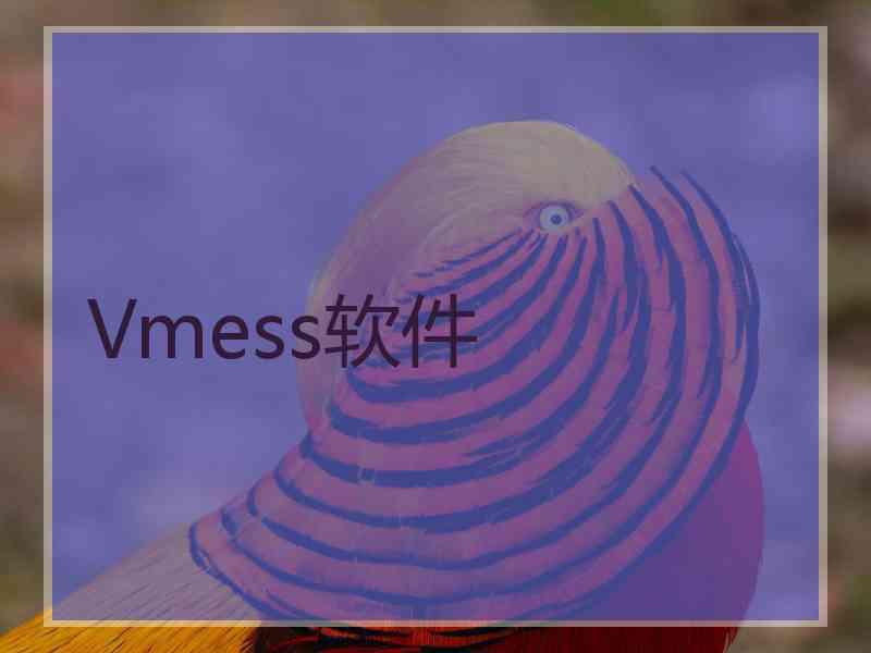 Vmess软件