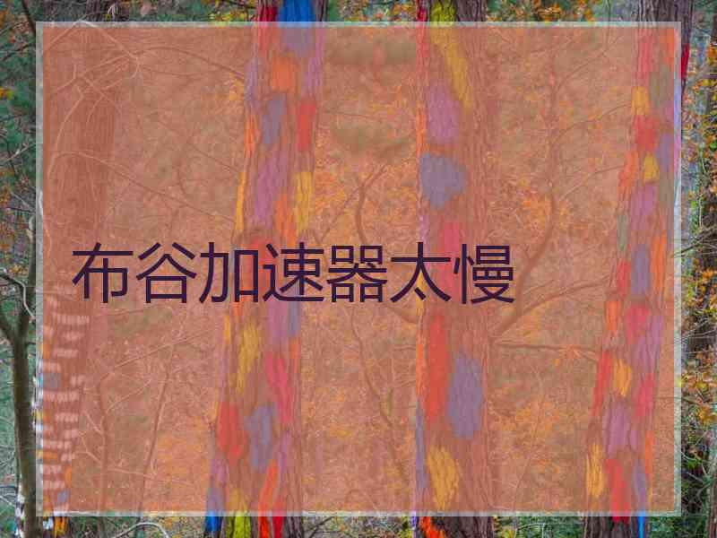布谷加速器太慢