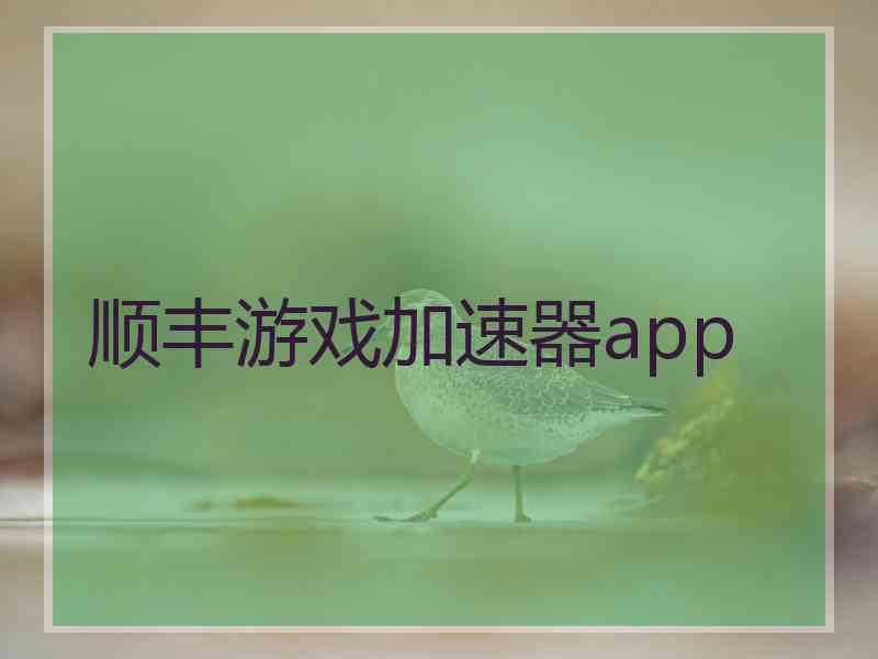 顺丰游戏加速器app