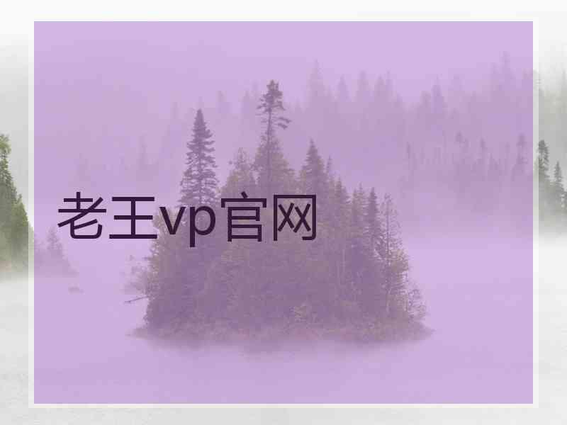 老王vp官网