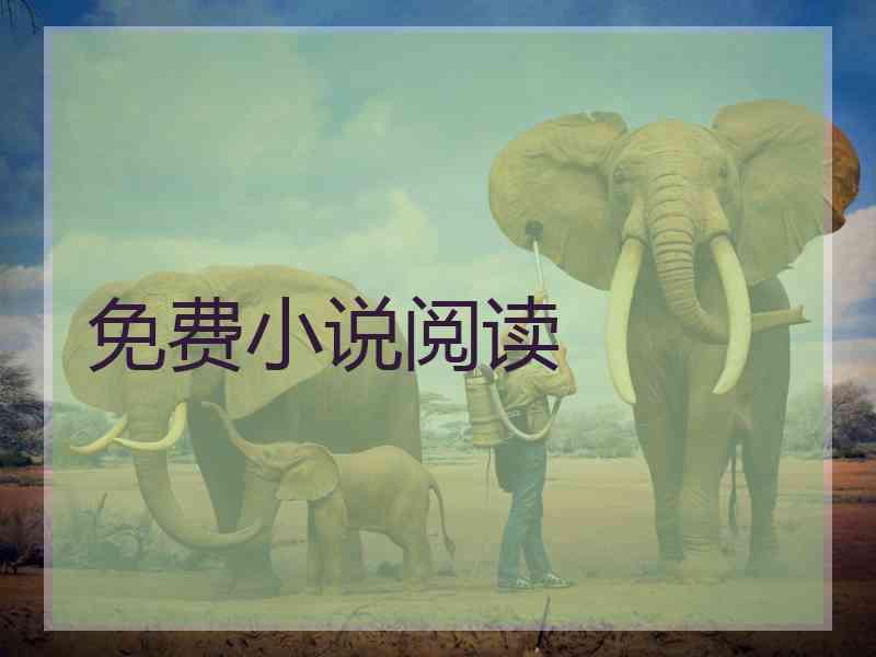 免费小说阅读