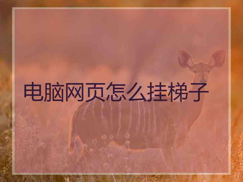 电脑网页怎么挂梯子
