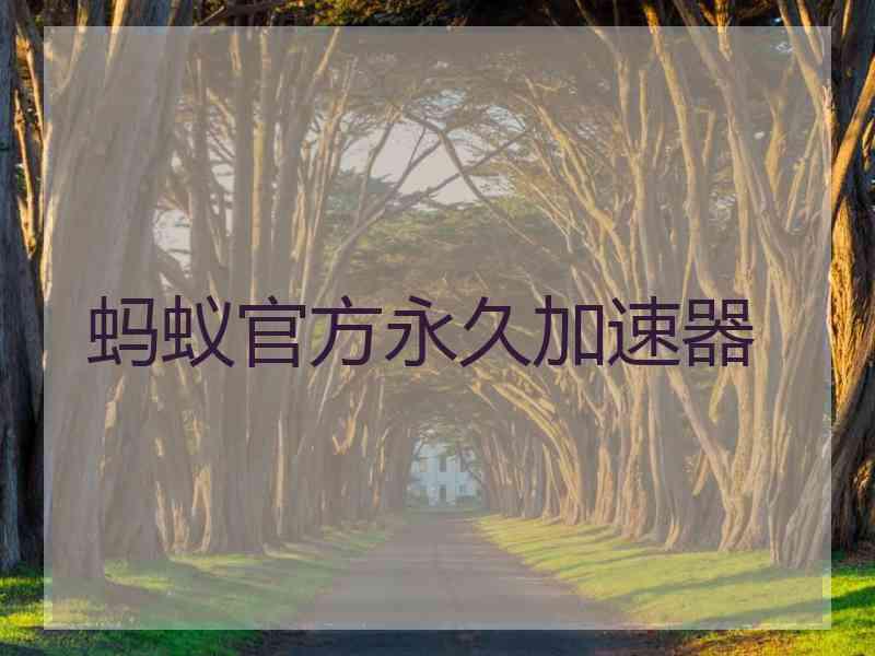 蚂蚁官方永久加速器