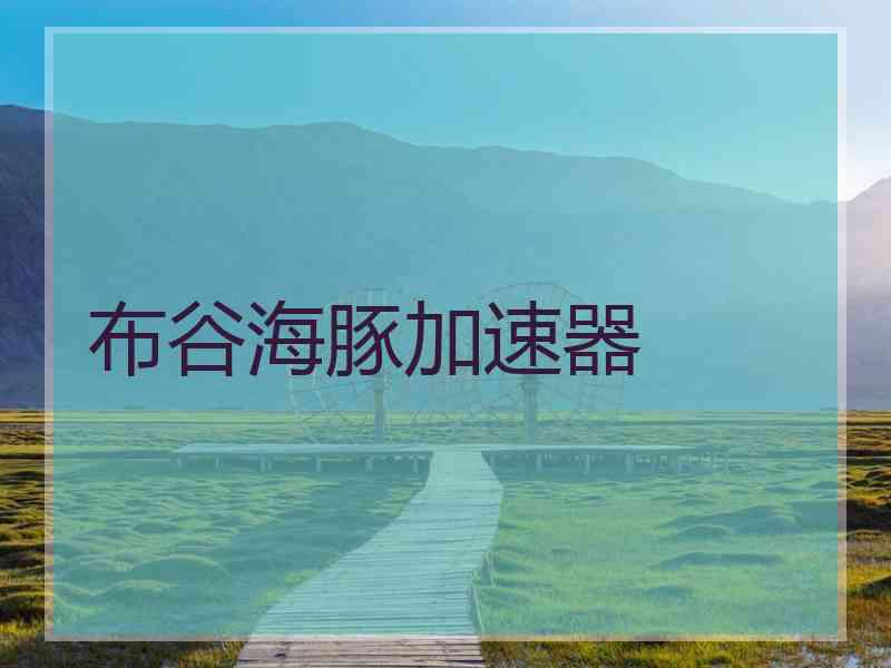 布谷海豚加速器