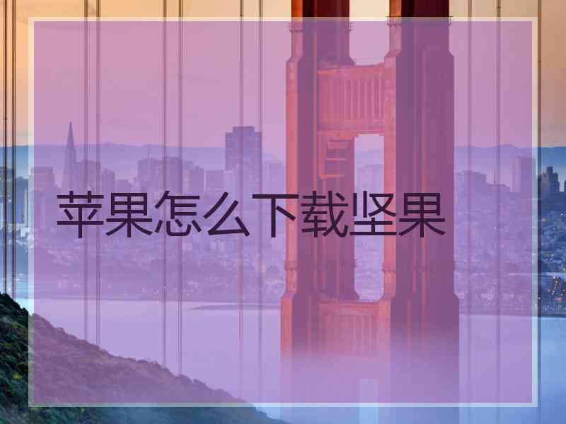 苹果怎么下载坚果