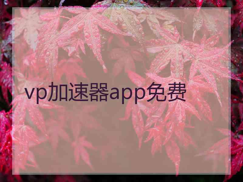 vp加速器app免费