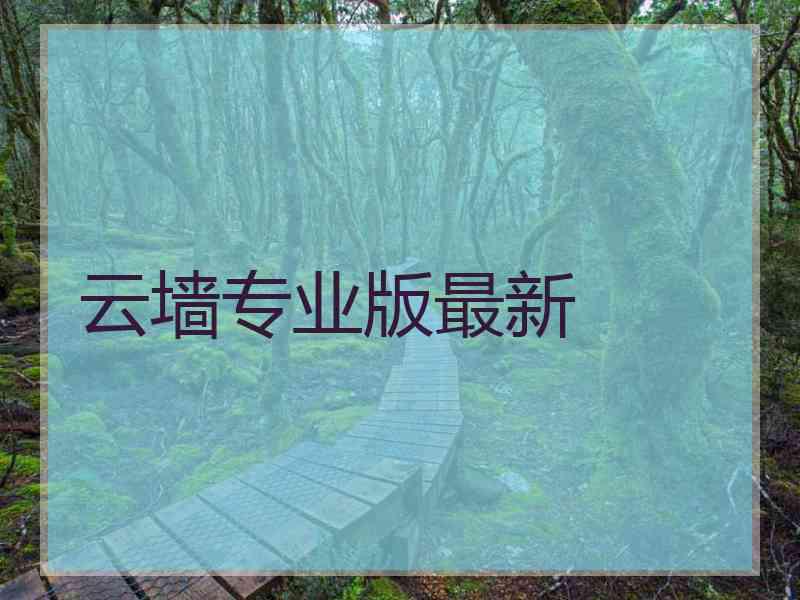 云墙专业版最新