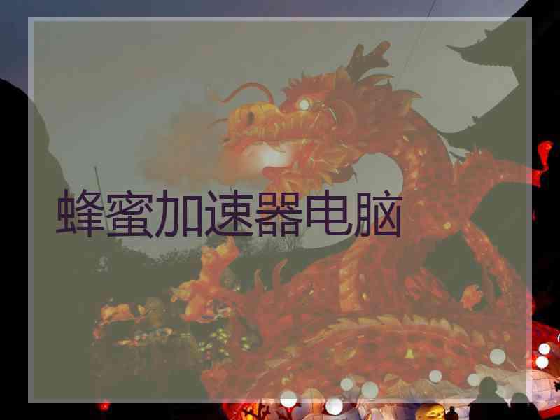 蜂蜜加速器电脑