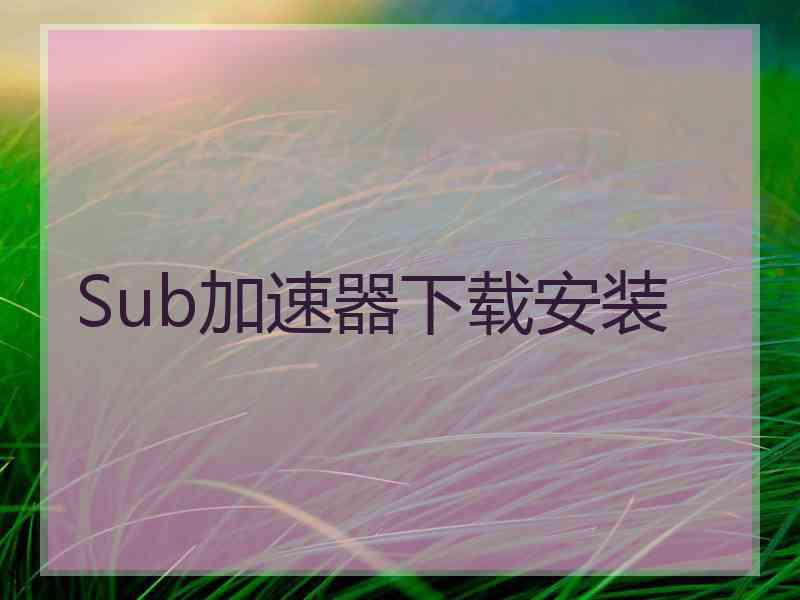 Sub加速器下载安装