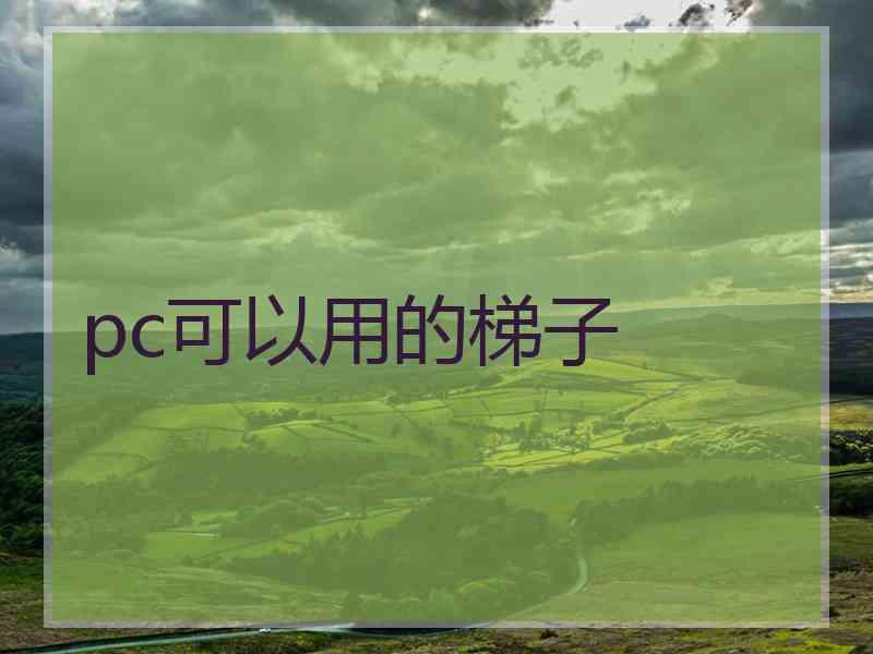 pc可以用的梯子