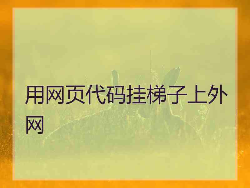 用网页代码挂梯子上外网