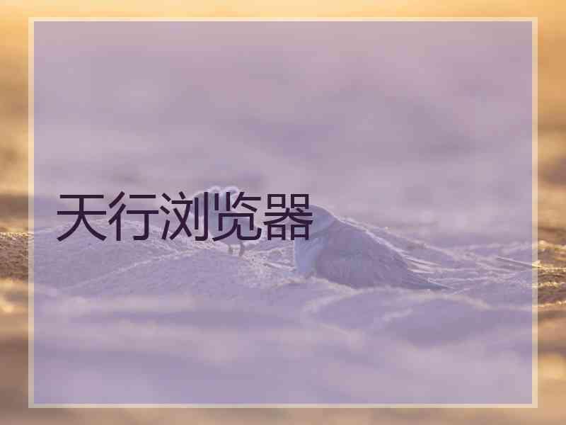 天行浏览器