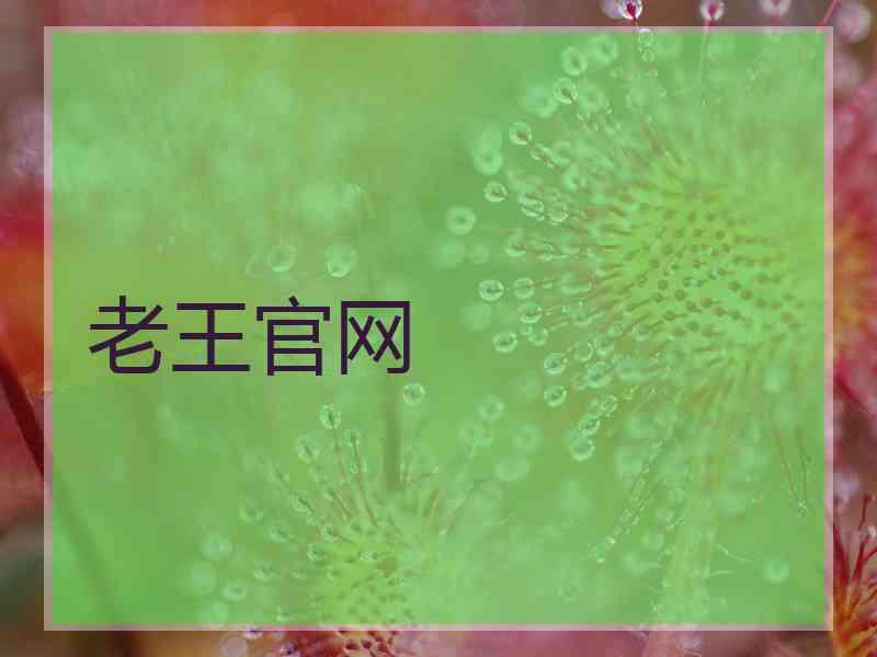 老王官网