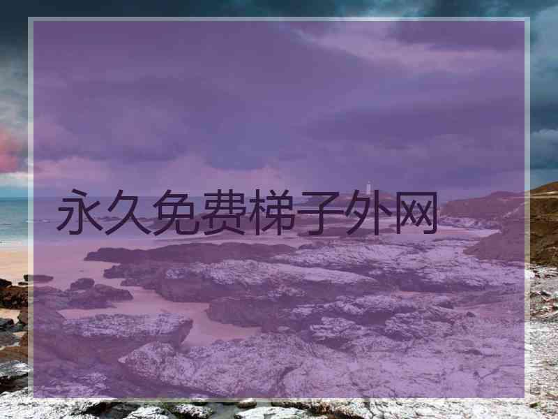 永久免费梯子外网