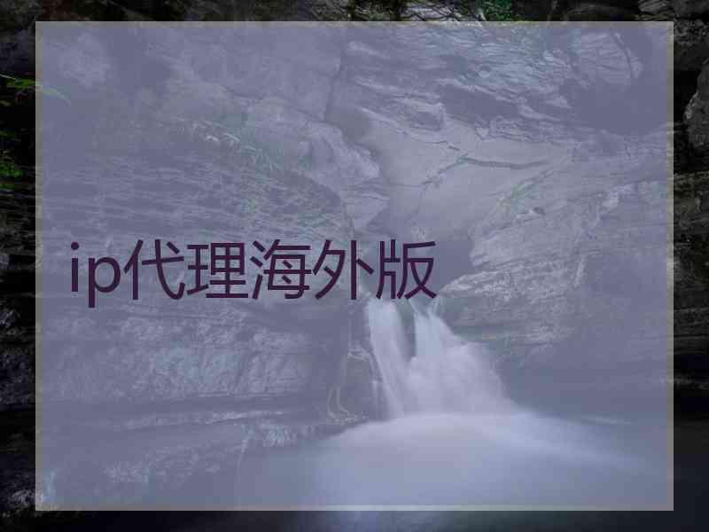 ip代理海外版