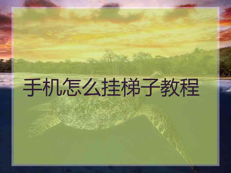 手机怎么挂梯子教程