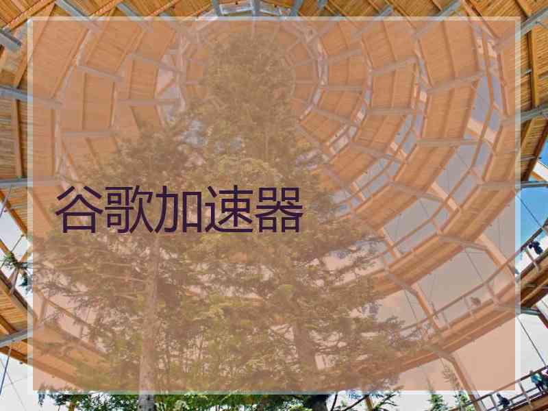 谷歌加速器