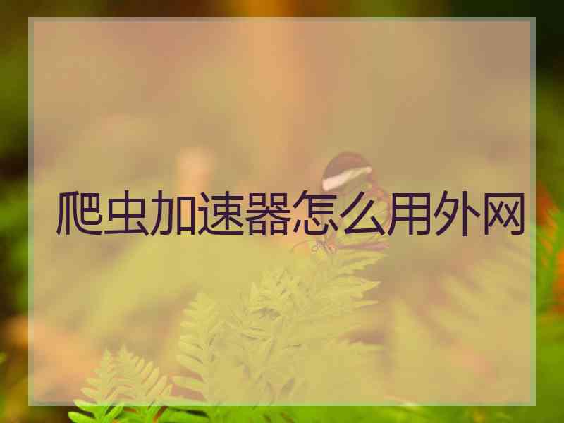 爬虫加速器怎么用外网