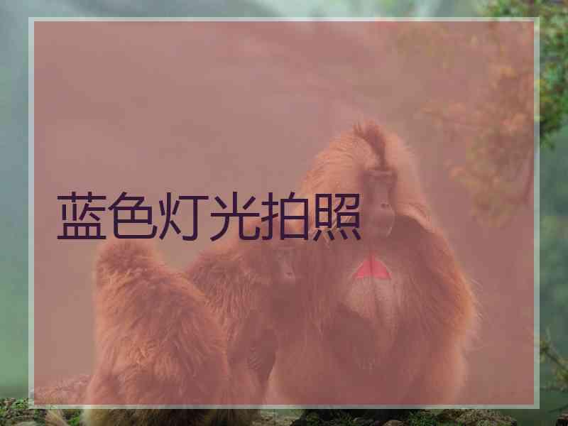 蓝色灯光拍照