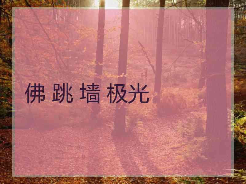 佛 跳 墙 极光