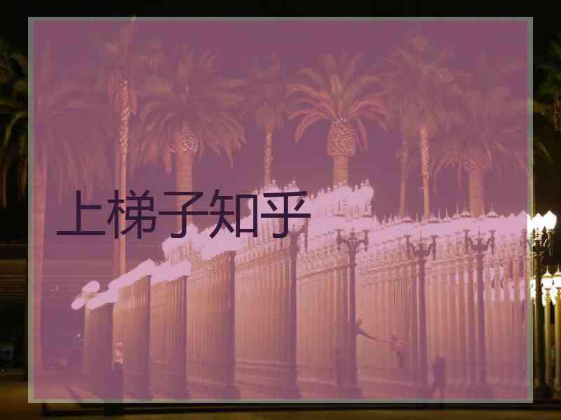 上梯子知乎