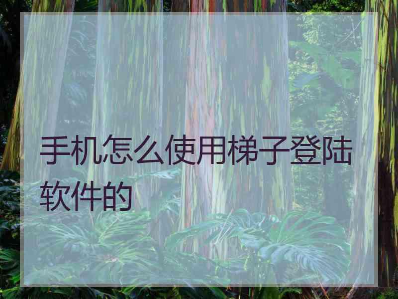 手机怎么使用梯子登陆软件的