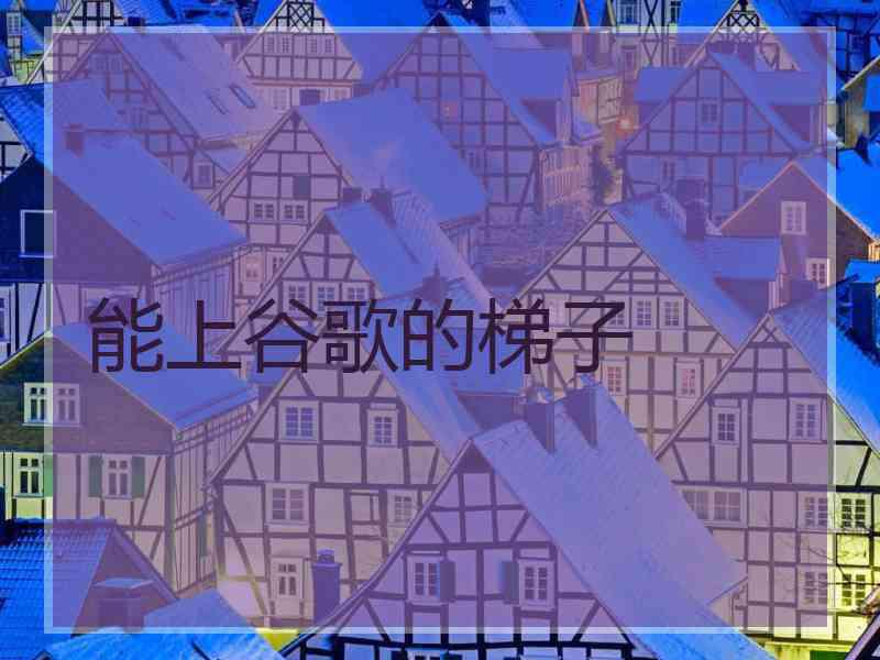 能上谷歌的梯子