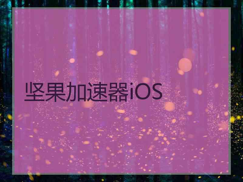 坚果加速器iOS