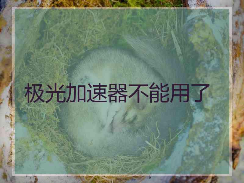 极光加速器不能用了