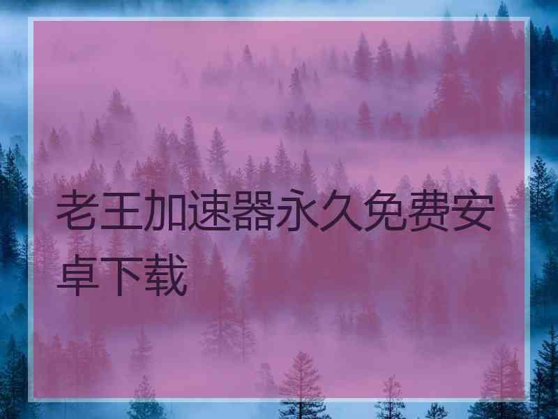 老王加速器永久免费安卓下载