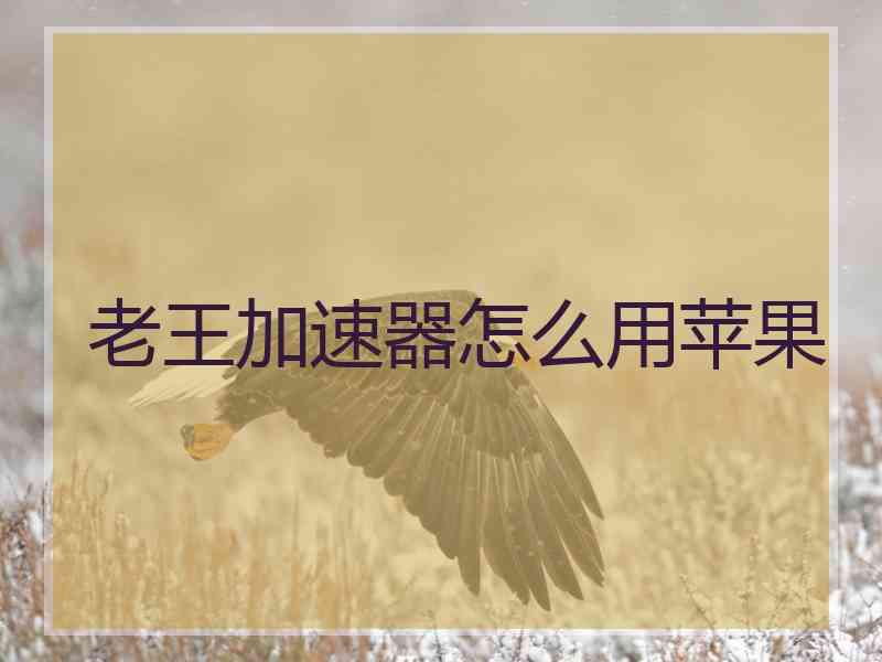 老王加速器怎么用苹果