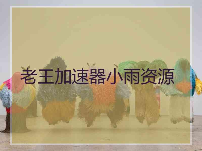 老王加速器小雨资源