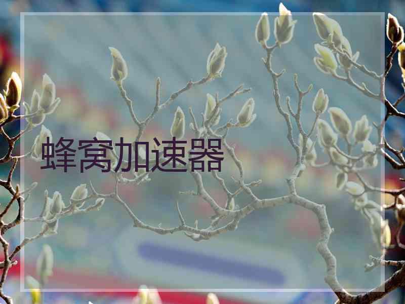 蜂窝加速器