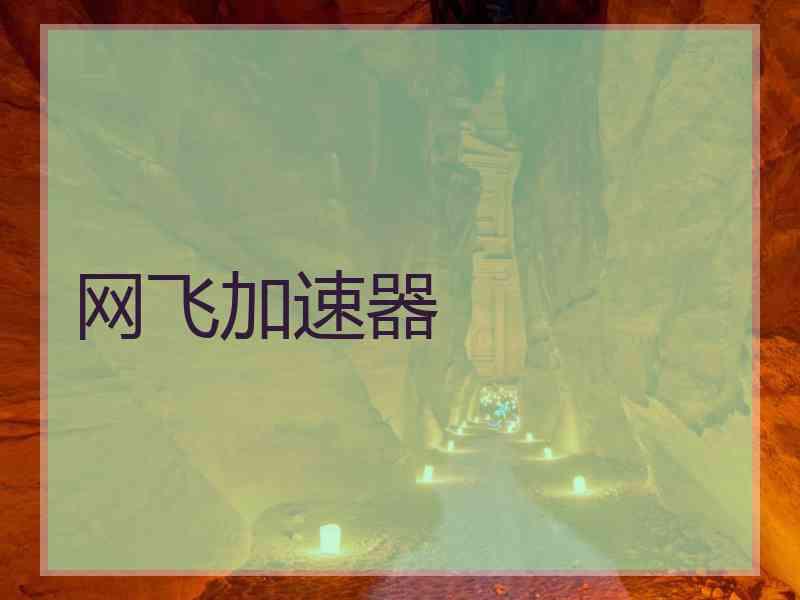 网飞加速器